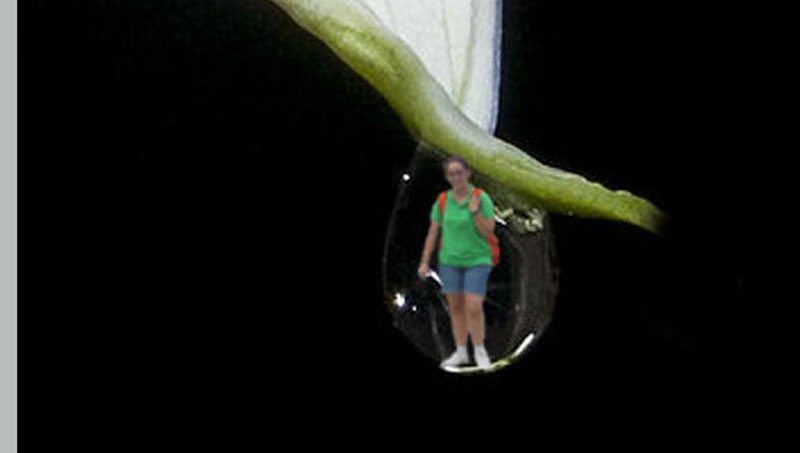 Semana Ciencias en Los Tilos